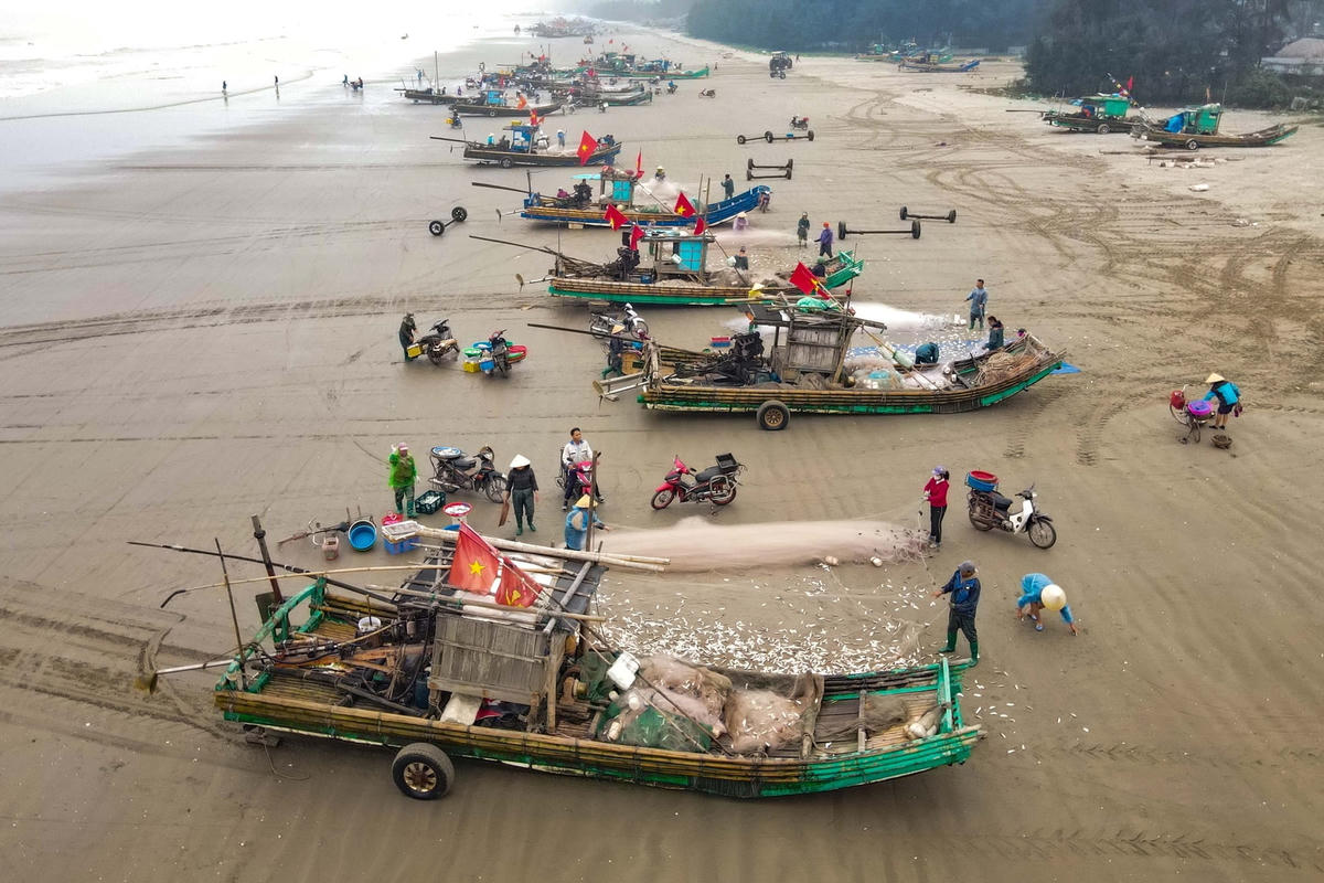  Những ngày này, tranh thủ khi thời tiết thuận lợi, ngư dân các huyện Quảng Xương, TP Sầm Sơn (Thanh Hóa) tích cực chuẩn bị phương tiện, nhiên liệu, ngư lưới cụ vươn khơi khai thác cá trích vùng lộng. 