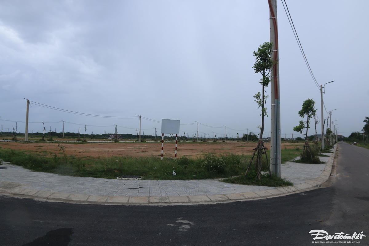 2-canh-xanh-kenh-n2.jpg