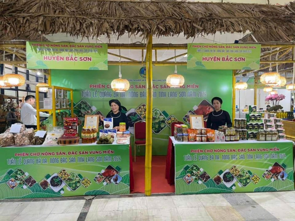 anh bài dưới