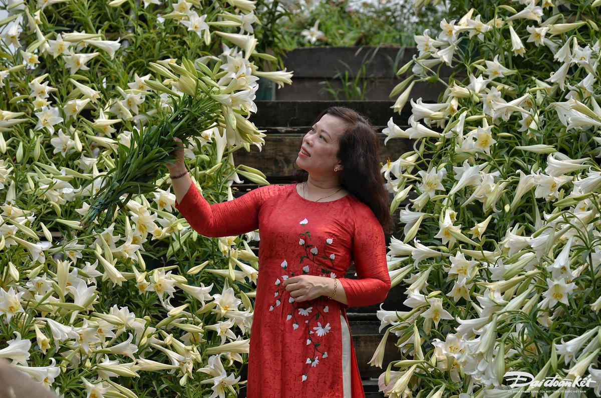 hoa_loa_ken-le-khanh29.jpg