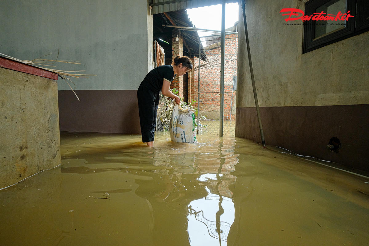 May mắn thoát chết vì mưa lũ, chị Nguyễn Thị Bích chia sẻ, sáng ngày 24/5 sau khi nước dâng cao, tiếc đồ vật có giá trị trong gia đình, chị chèo thuyền ra dòng nước lũ để vớt tài sản thì thuyền bị lật. Cũng may chị Bích và anh họ đã kịp bám vào ngọn cây mít thì mới có thể thoát nạn.