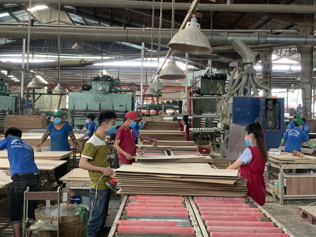 Năm 2023, dự báo ngành gỗ xuất khẩu gặp khó khăn. Ảnh: Tiểu My.