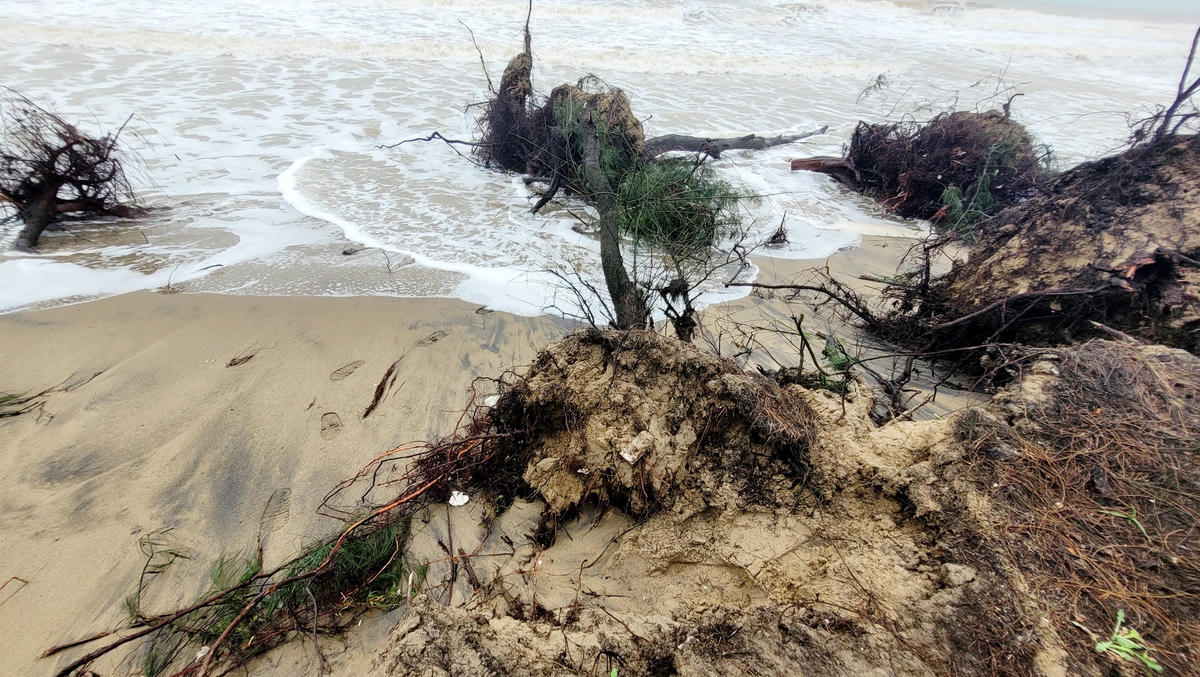 Trước tình trạng đó, người dân và chính quyền địa phương đã nhiều lần kiến nghị lên các cơ quan chức năng để đưa ra các phương án nhằm ứng phó trước mắt cũng như lâu dài