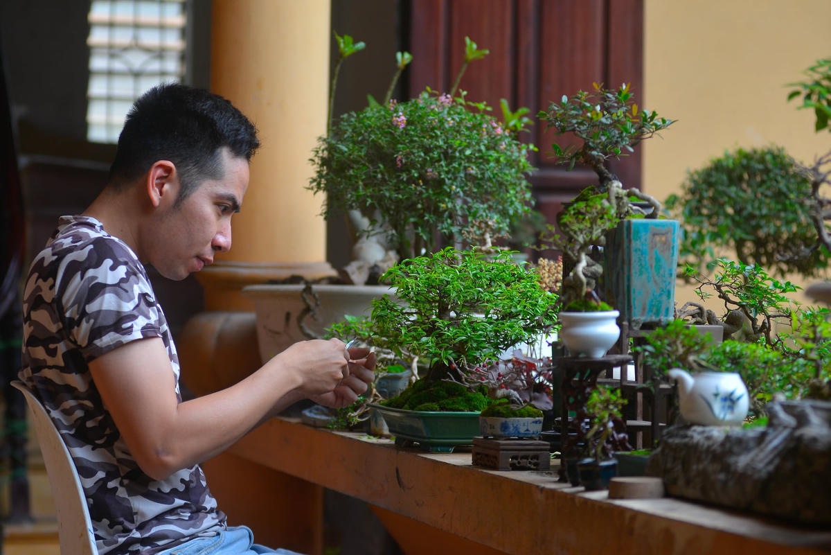 Anh Huy chăm chút những "đứa con tinh thần" của mình.
