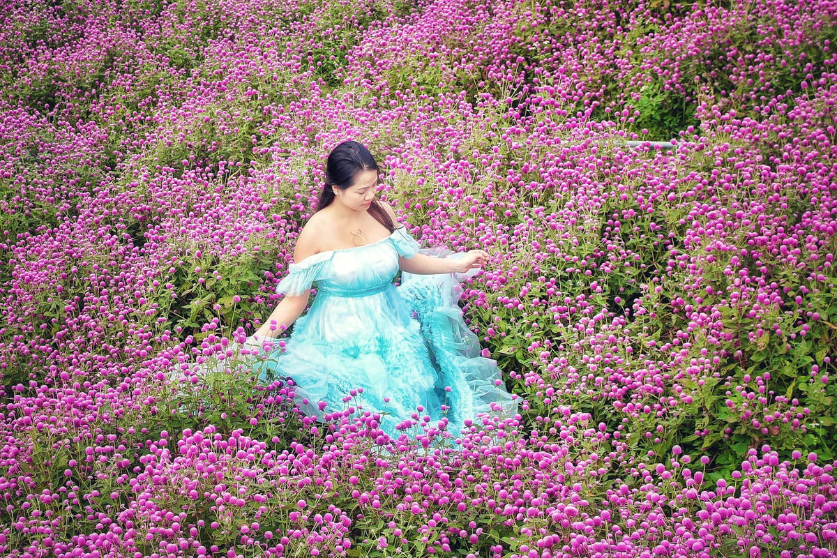 Khoảnh khắc đẹp bên hoa bách nhật.