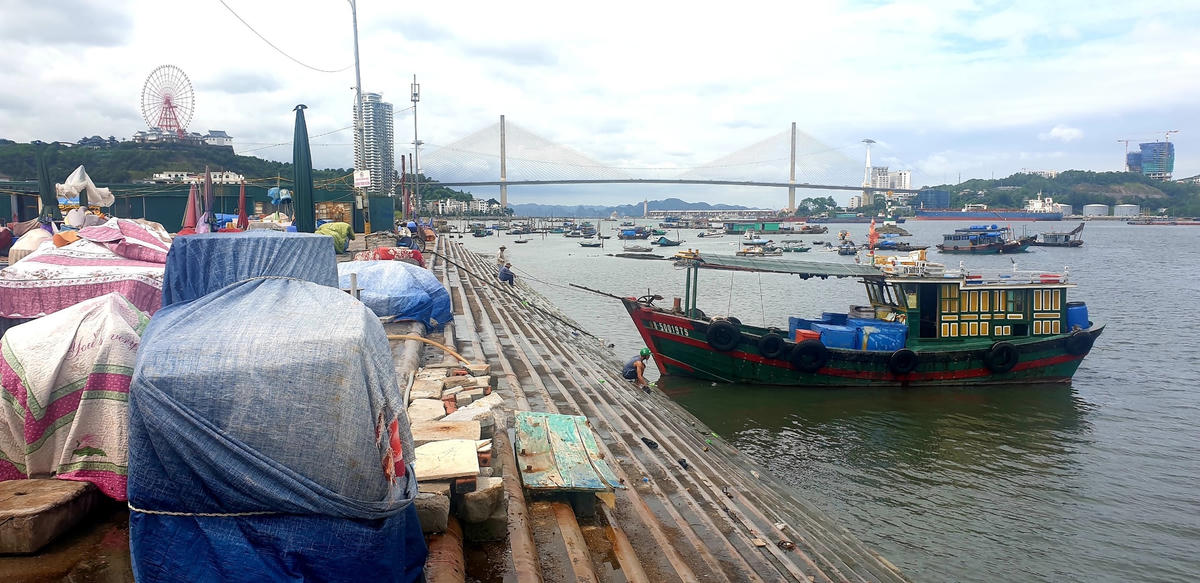 Rất ít tàu đánh bắt hải sản về neo đậu tại Bến cá tạm phường Cao Xanh.