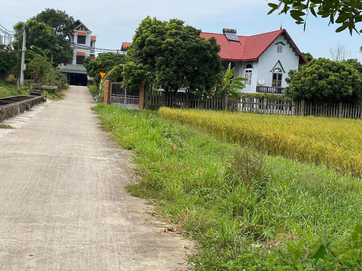 Một số hộ dân trong thôn Ngô Phần đã xây dựng nhà kiên cố trên đất nhận thầu.