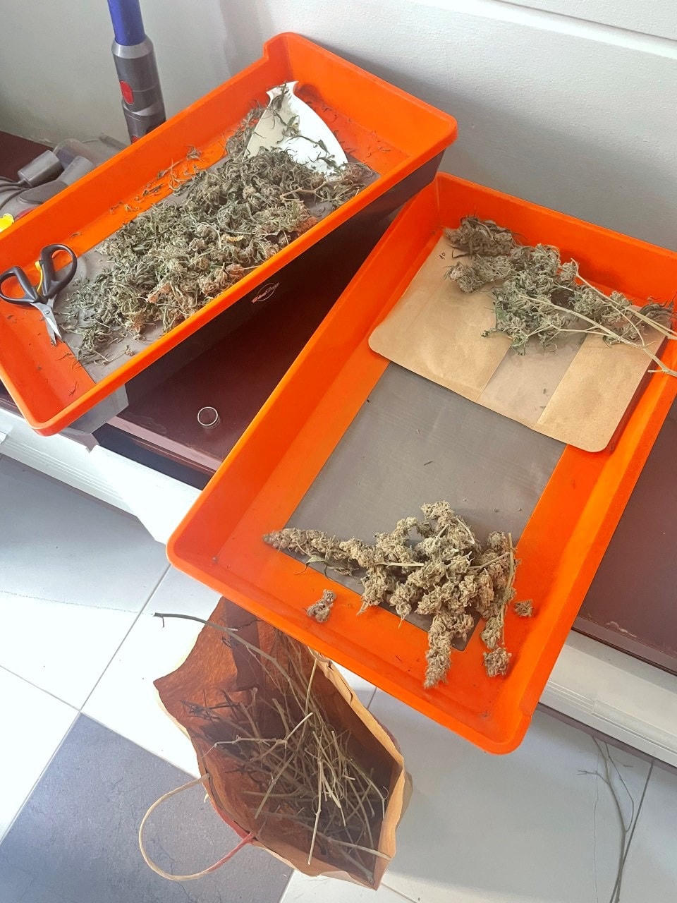 Cần sa khô đã có thể sử dụng. Ảnh Công an cung cấp.