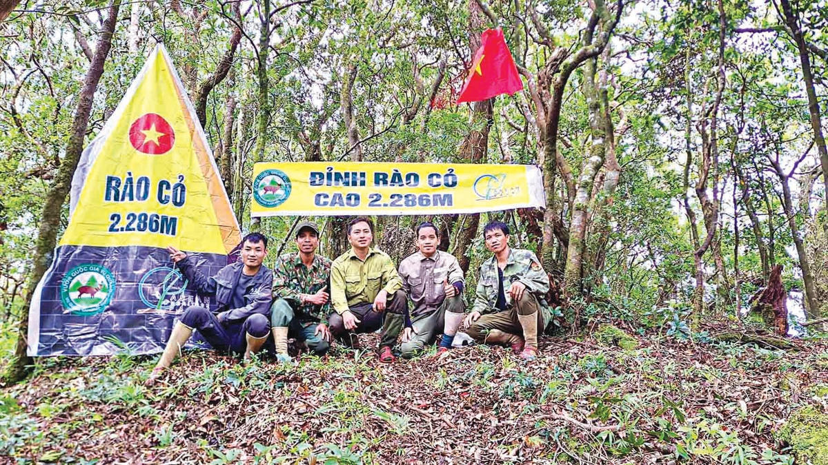 3. Đỉnh Rào Cỏ cao 2.286m và là điểm cao nhất trong Vườn quốc gia Vũ Quang