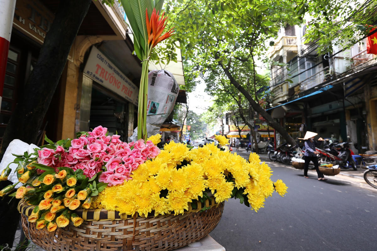 Hương sắc mùa thu Hà Nội. Ảnh: Dũng Minh.