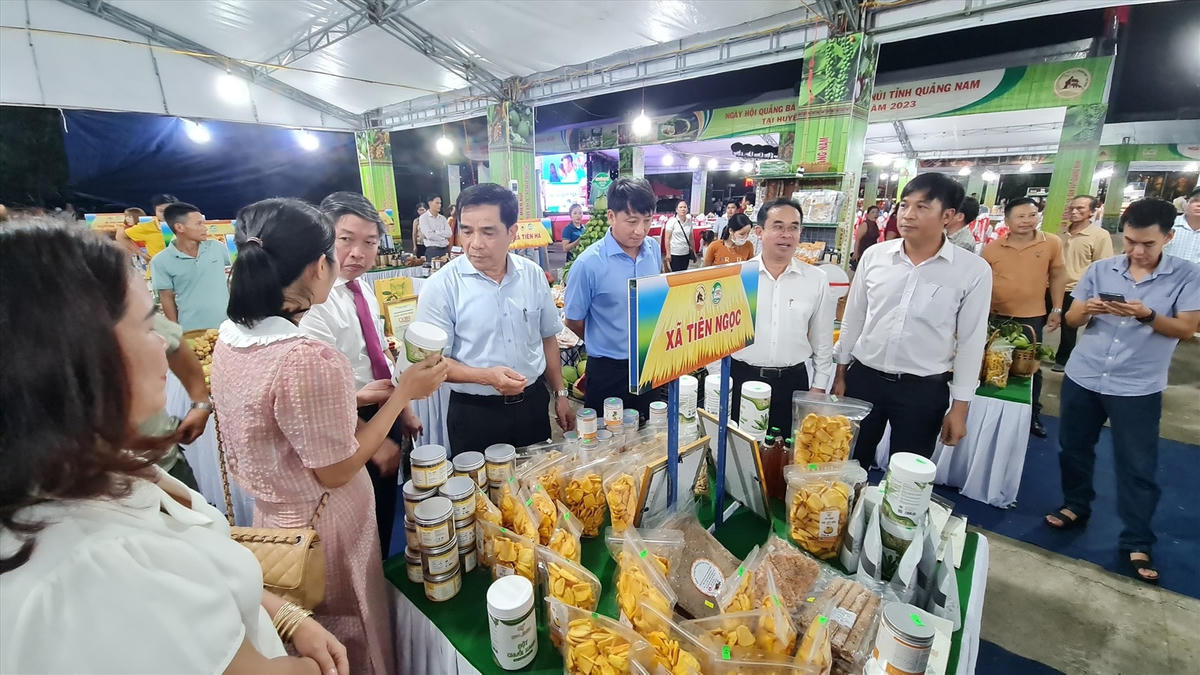 Lãnh đạo tỉnh thăm các gian hàng trong ngày hội.
