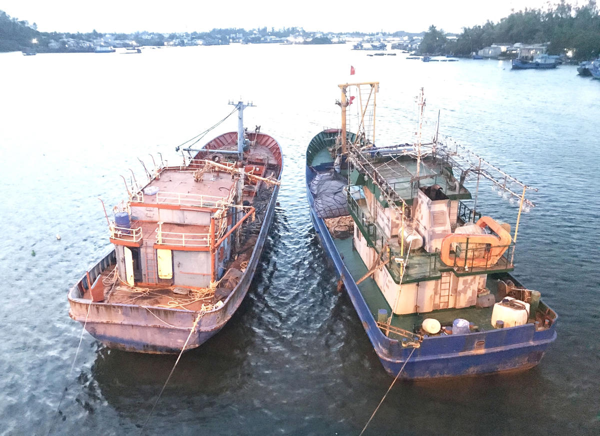 Những con tàu cá của ngư dân Quảng Ngãi đang neo đậu tại bờ chờ đem đi thanh lý.