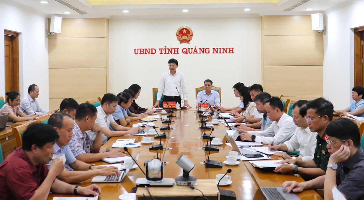 Quang cảnh buổi làm việc. Ảnh: QMG.