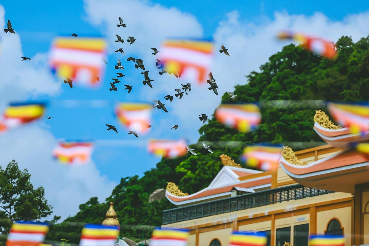 Ảnh: Ngô Trần Hải An.