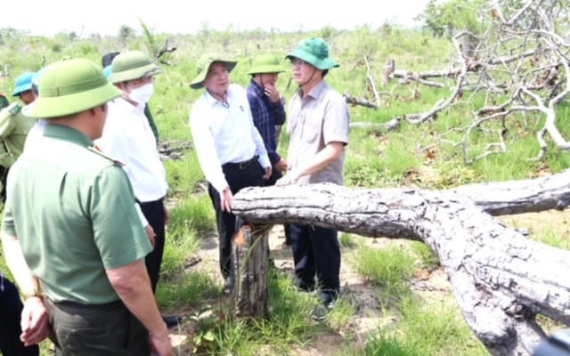  Bí thư Tỉnh ủy Đắk Lắk Nguyễn Đình Trung và Chủ tịch Ủy ban nhân dân tỉnh Phạm Ngọc Nghị cùng lãnh đạo các sở, ngành liên quan của tỉnh đã trực tiếp vào hiện trường kiểm tra, chỉ đạo các ngành chức năng vào cuộc điều tra, xử lý vụ phá rừng.