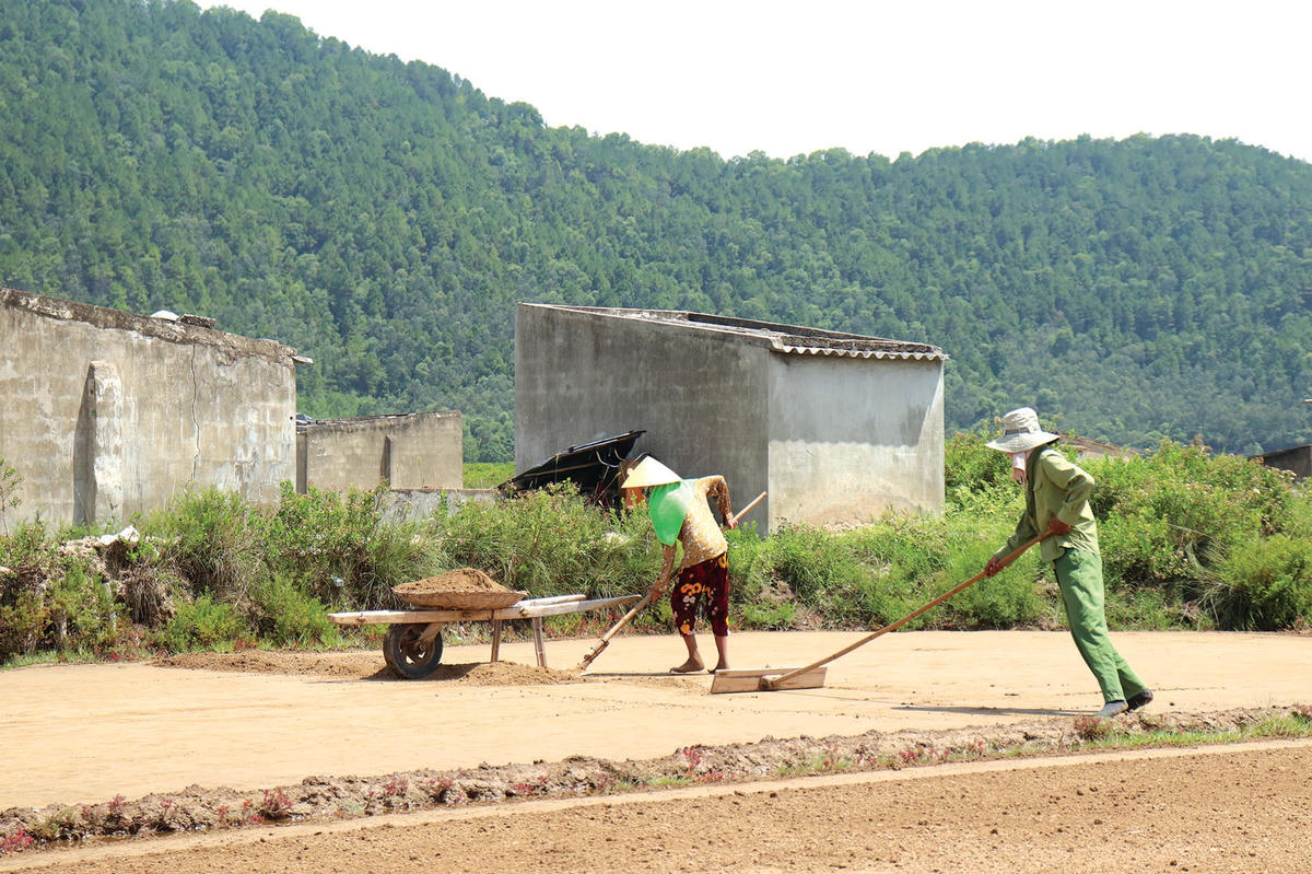 Dùng cào đẩy hỗn hợp trông giống cát lộn đất nằm rải rác trên ruộng tụ lại một chỗ.  