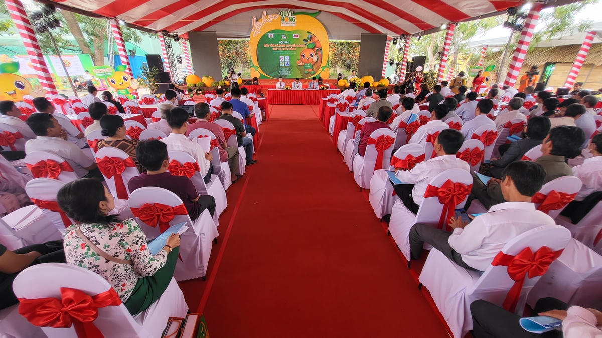 Toàn cảnh hội thảo.