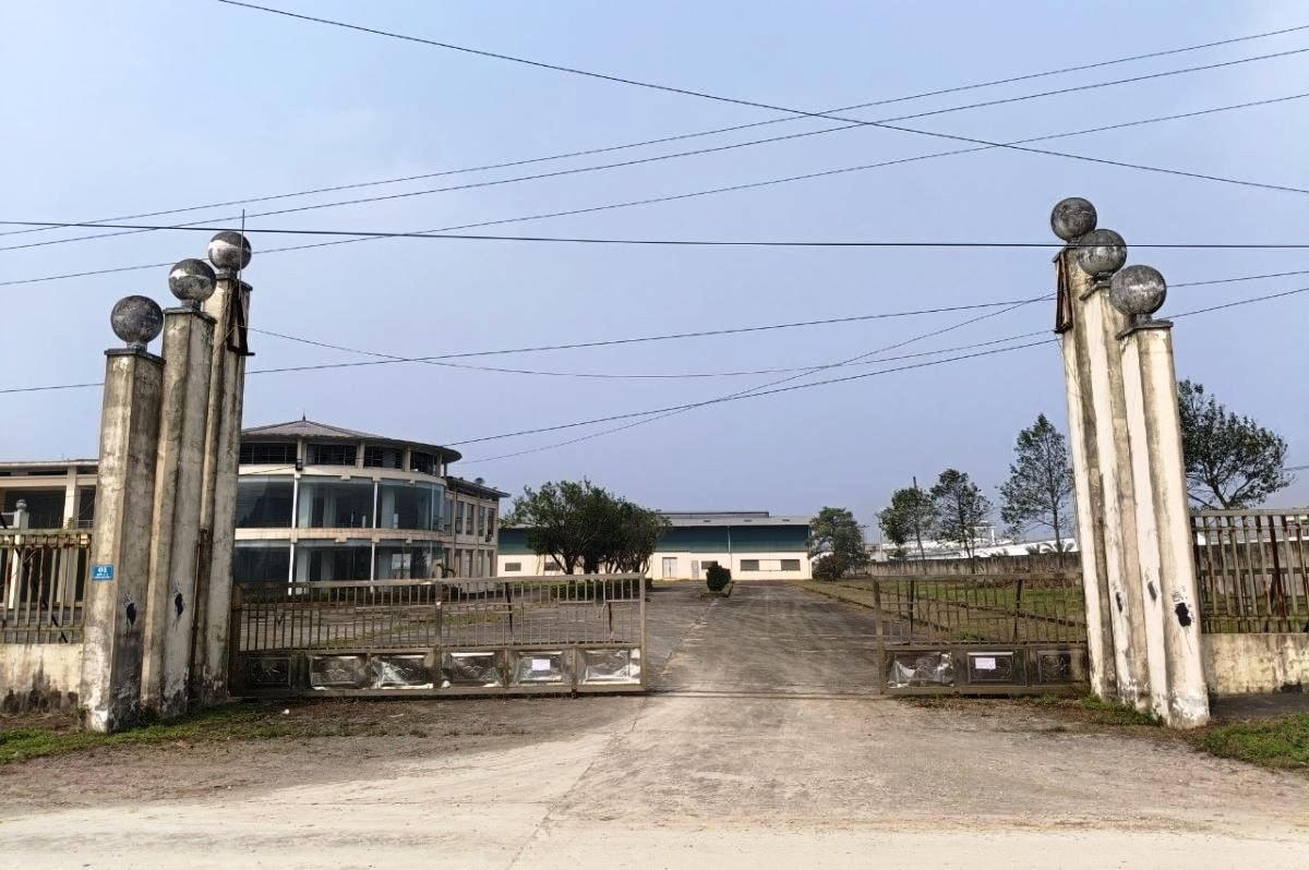Lãng phí HHoằng kim