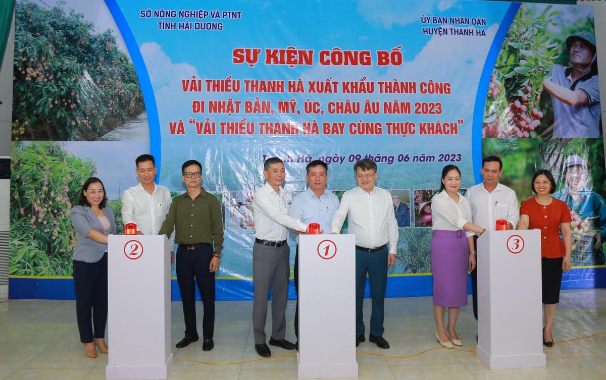 Ngày 9/6, Sở Nông nghiệp và Phát triển nông thôn tỉnh Hải Dương và UBND huyện Thanh Hà tổ chức sự kiện công bố xuất khẩu vải thiều Thanh Hà.