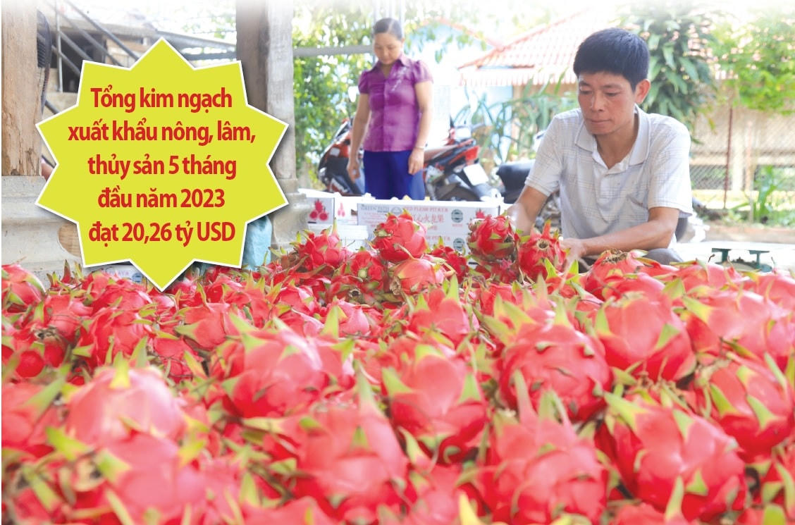 Nông nghiệp tiếp tục thể hiện vai trò trụ đỡ của nền kinh tế khi nhiều mặt hàng nông sản xuất khẩu có mức tăng trưởng tốt. Ảnh: Quang Vinh.