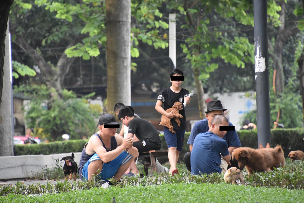 Người dân cũng đã được "cởi trói", không hạn chế các hoạt động tập trung đông người.