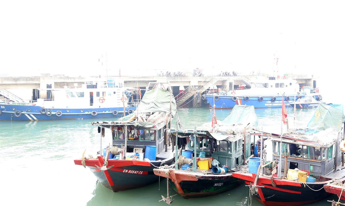 Lực lượng chức năng TP Hạ Long lai dắt tàu cá vi phạm về bờ để xử lý theo đúng quy định pháp luật. Ảnh: Cổng TTĐT TP Hạ Long.