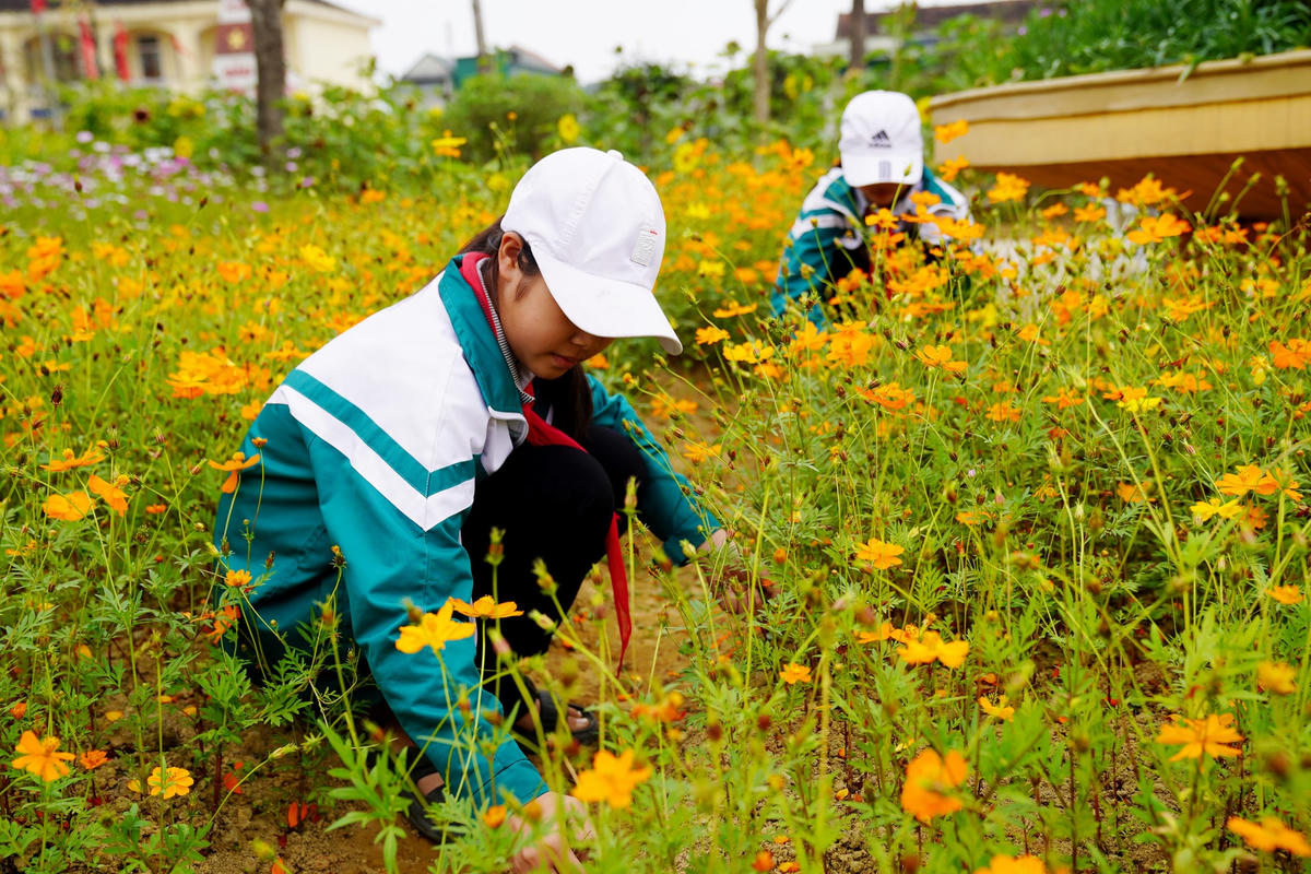 Ngoài việc học tập, giờ ra chơi các em học sinh cùng chung tay bảo vệ, chăm sóc vườn trường của mình.