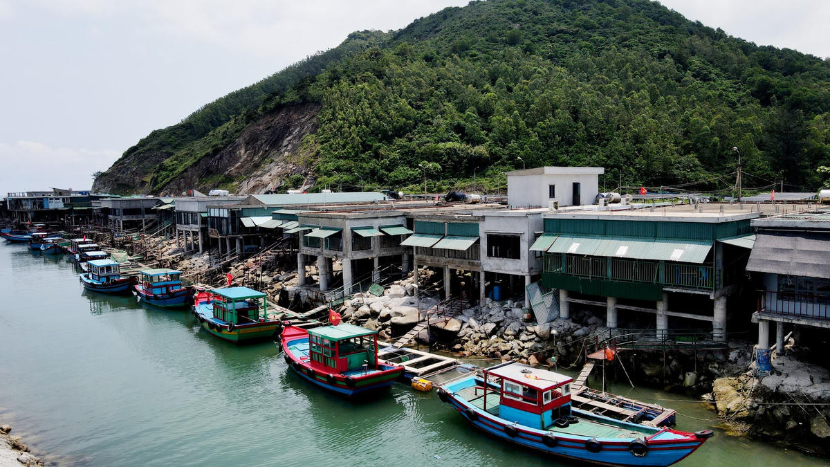 Ông Lê Xuân Vượng, Chủ tịch UBND xã Kỳ Lợi cho biết, Khu ẩm thực mực nhảy Vũng Áng hiện có gần 20 bè nổi kinh doanh mực nháy. Lượng khách tập trung về đây ăn uống rất đông, nhất là vào đầu mùa, vào các dịp nghỉ lễ và đặc biệt là vào dịp hè rất nhiều du khách đã ghé thăm các nhà bè ở Vũng Áng để thưởng thức đặc sản mực nháy.