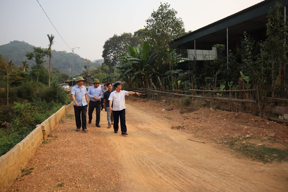 uploaded-thuphuongbna-2024_05_02-_bna-lanh-dao-tinh-va-ban-dan-toc-nghe-an-kiem-tra-cong-trinh-thuoc-chuong-trinh-muc-tieu-quoc-gia-tren-dia-ban-huyen-quy-chau-anh-thu-huong-2549.jpg