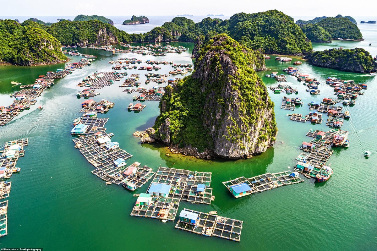 Làng cá nổi và đảo đá vịnh Lan Hạ (Hạ Long, Quảng Ninh). Bức ảnh được MailOngline giới thiệu.