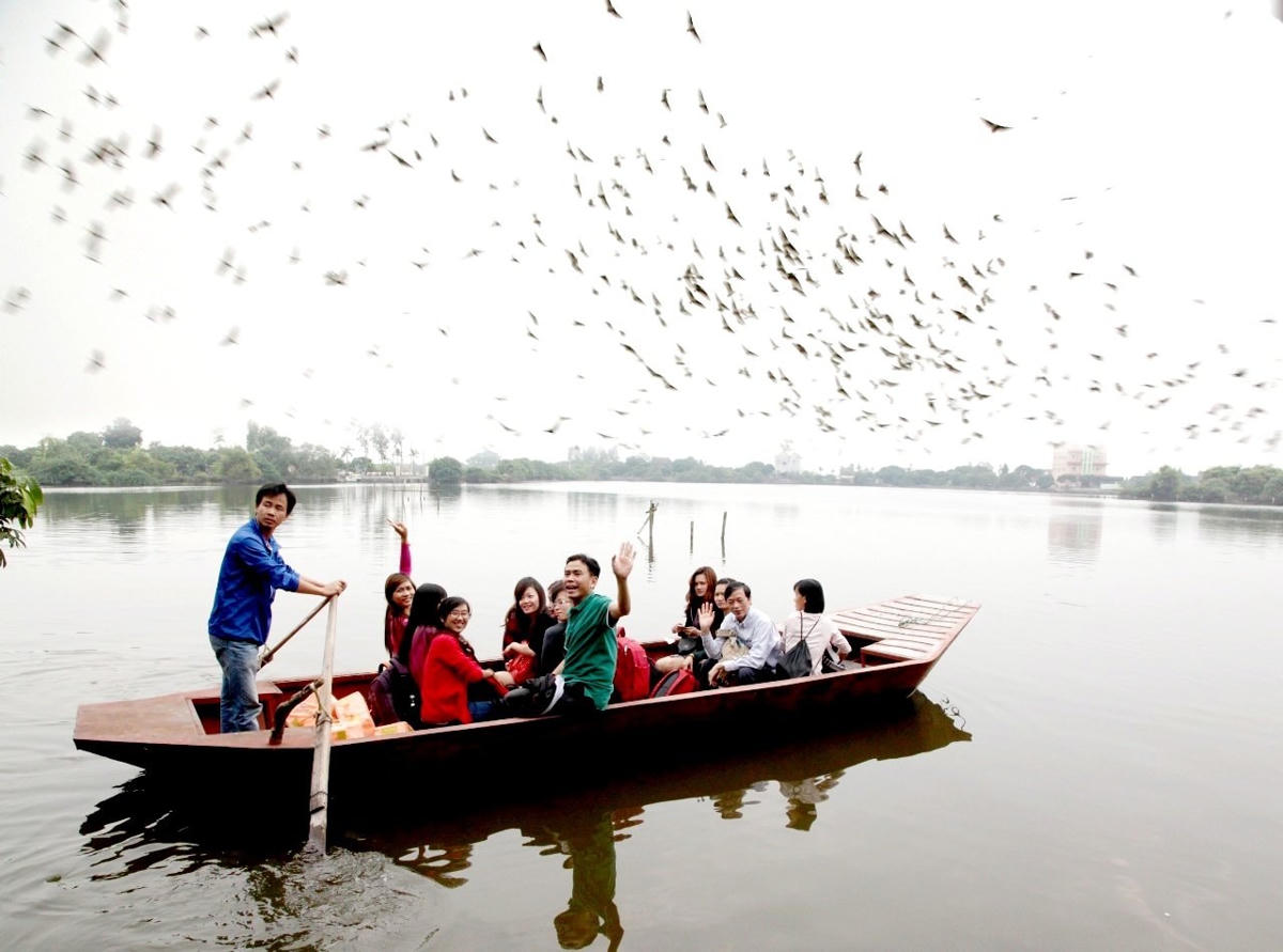 Nơi đâu cũng có thể nhìn thấy rợp trời cò bay.
