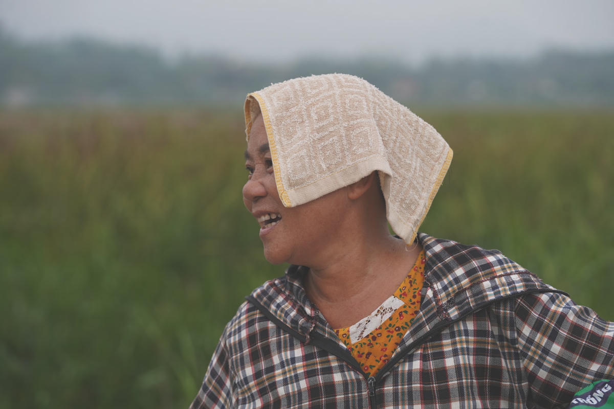 Hái sen tuy mệt vì phải lội bùn lầy nhưng cũng vui vì hạt sen có giá.