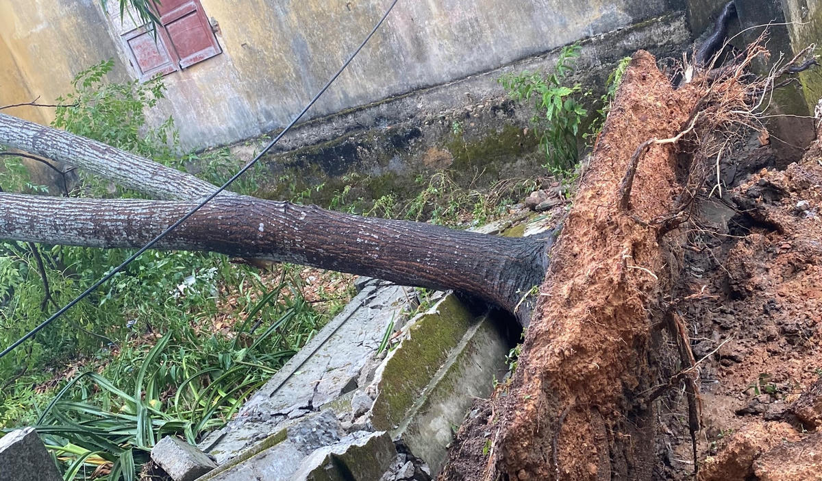 Quảng Trị: Hàng trăm ngôi nhà và nhiều công trình bị hư hại vì dông lốc, mưa đá