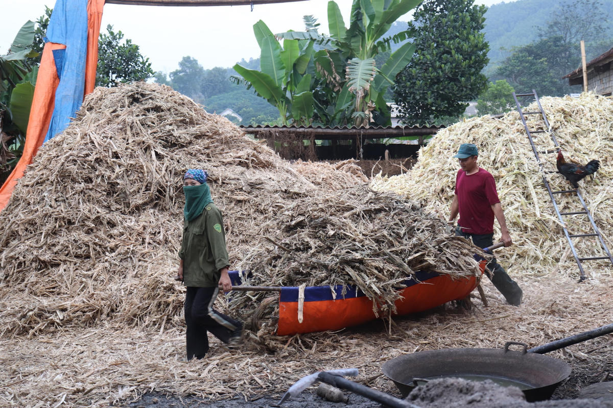 Sau đó, được chấp đống vào kho.