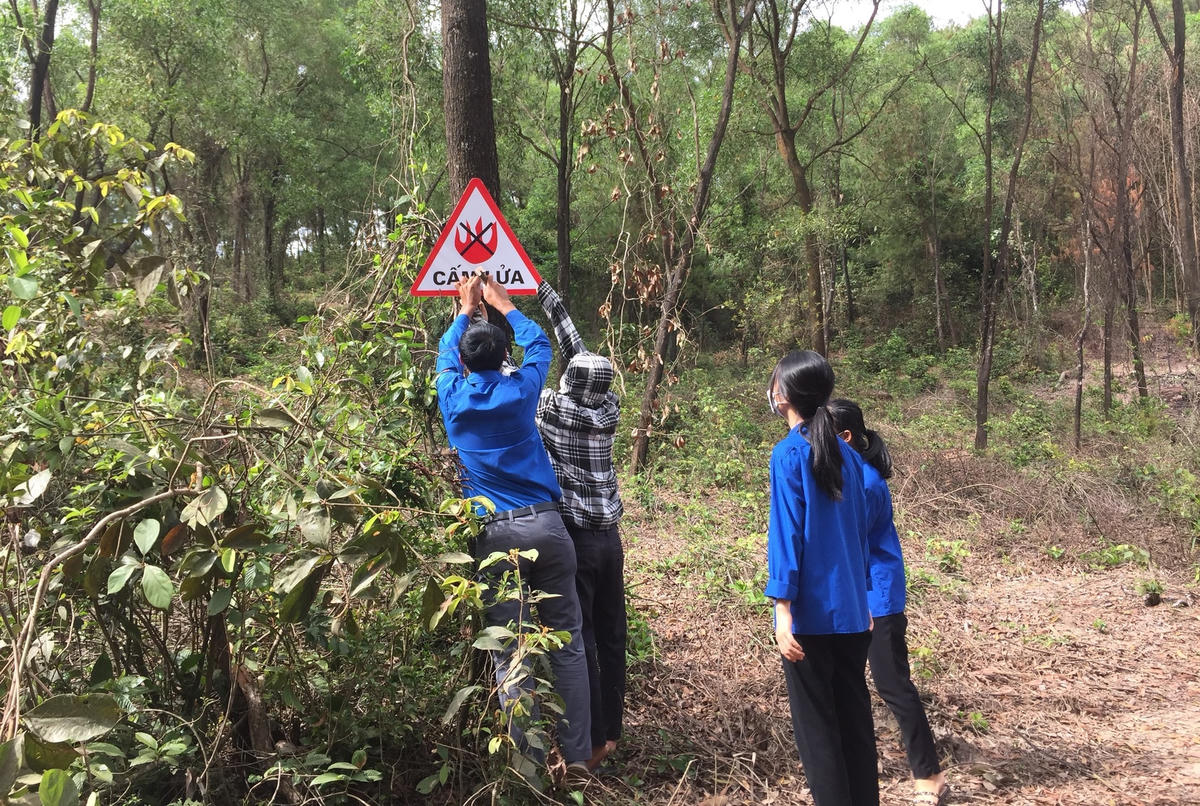 Lực lượng đoàn viên, thanh niên tỉnh Hà Tĩnh lắp đặt các biển báo cấm lửa tại khu vực rừng dễ cháy. Ảnh: PHẠM ĐỨC.