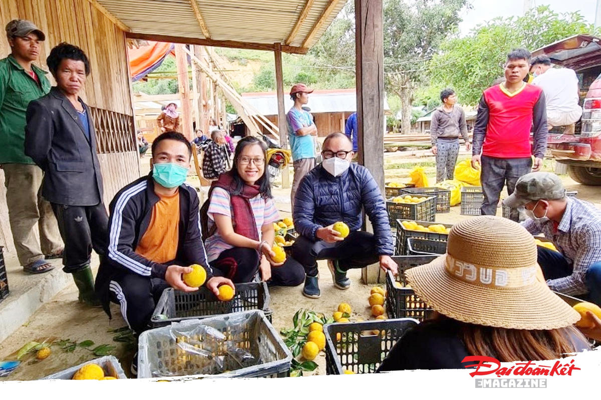 Rất đông người dân đến mua cam của hộ anh Dung.