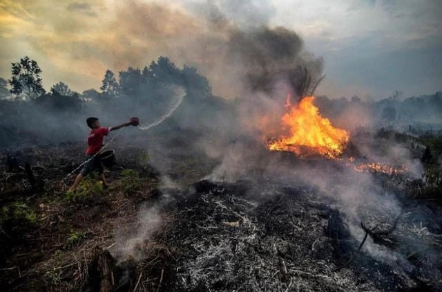 Một cậu bé cố gắng dập lửa tại khu đất than bùn ở Indonesia. Nguồn:AFP.  