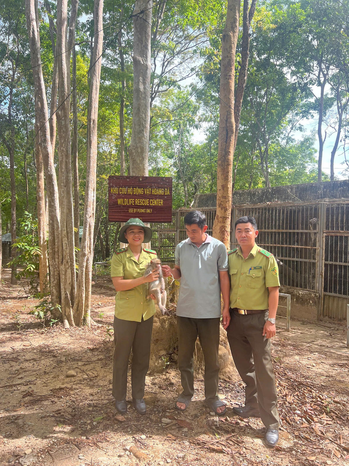 Người dân tự nguyện giao nộp cá thể khỉ đuôi dài