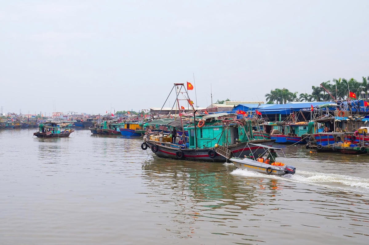 Lực lượng Biên phòng Hải Phòng ngư dân lên bờ tránh trú bão.