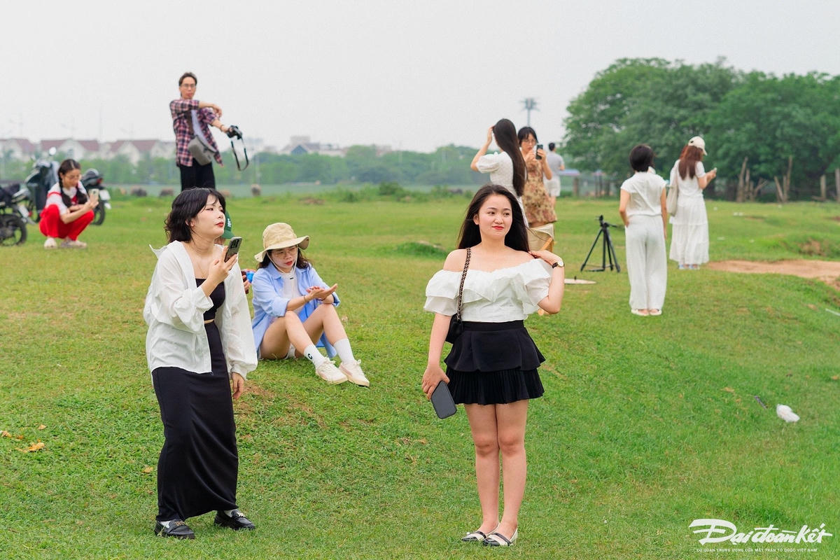 hoa_beo_tay-le-khanh6.jpg