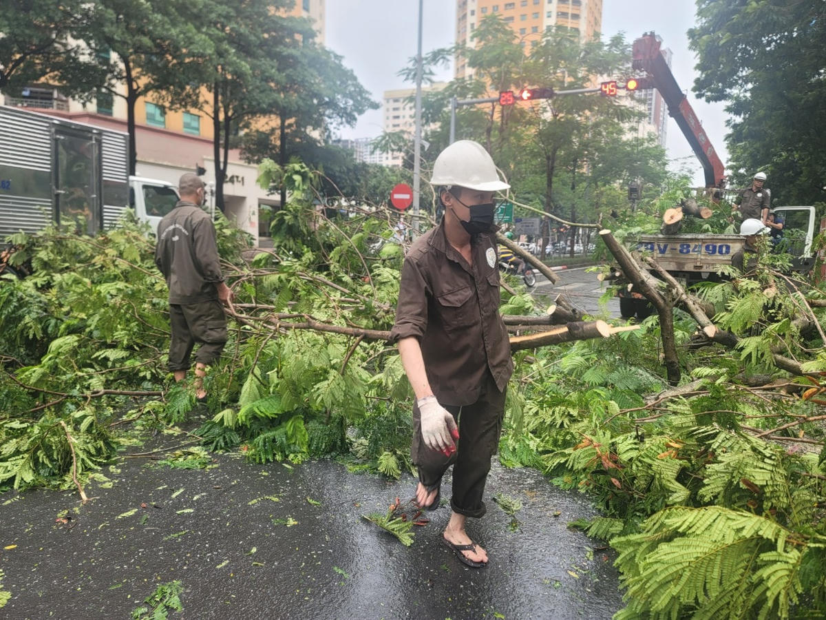 Một số công nhân thu dọn cành cây trên lòng đường.