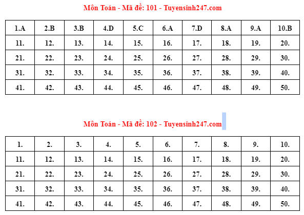 Gợi ý đáp án 24 mã đề thi Toán tốt nghiệp THPT năm 2023