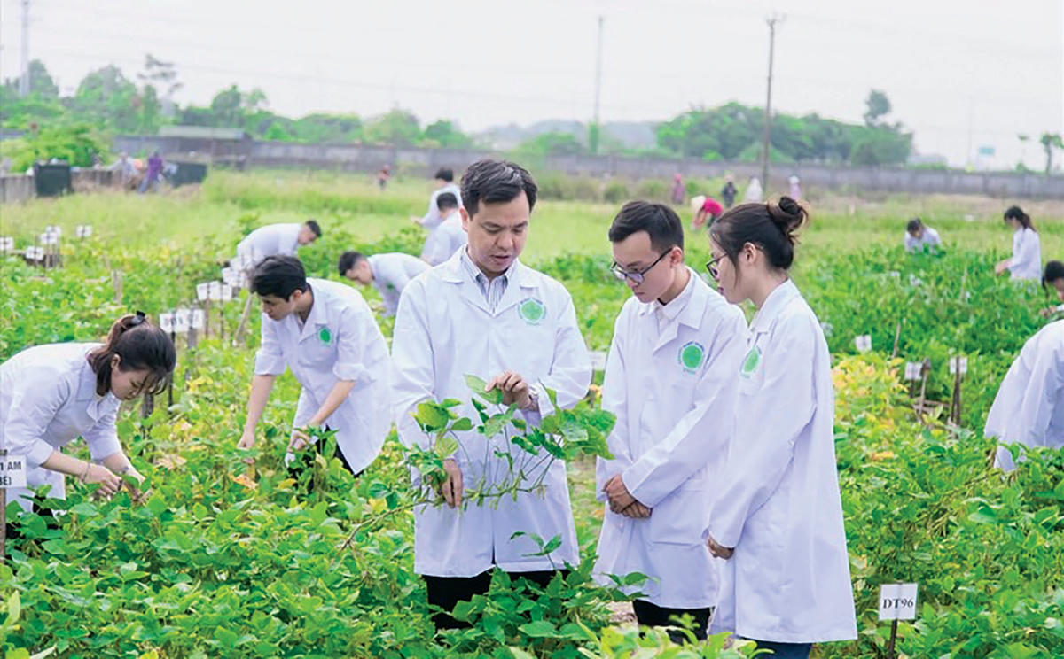 Các ngành khoa học cơ bản đang tạo ra môi trường rất tốt cho sinh viên học tập.  