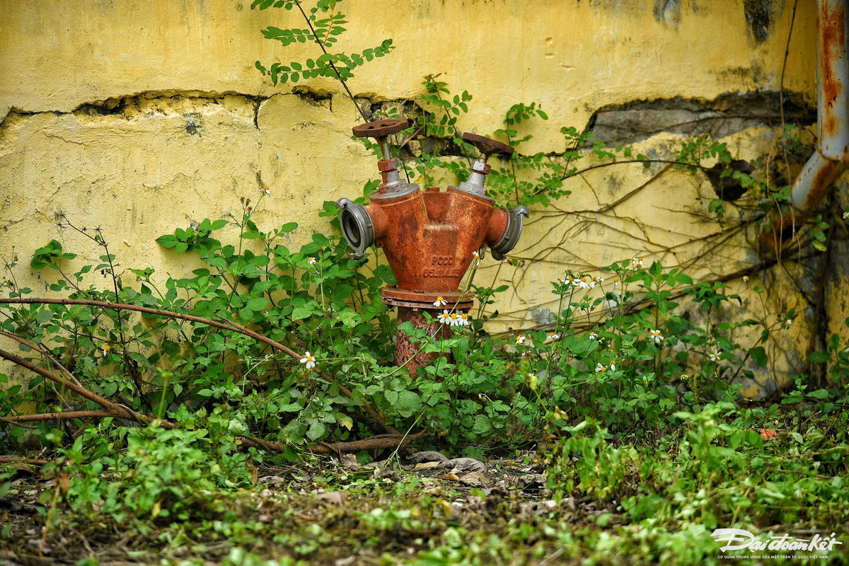 san_bong-le-khanh10.jpg