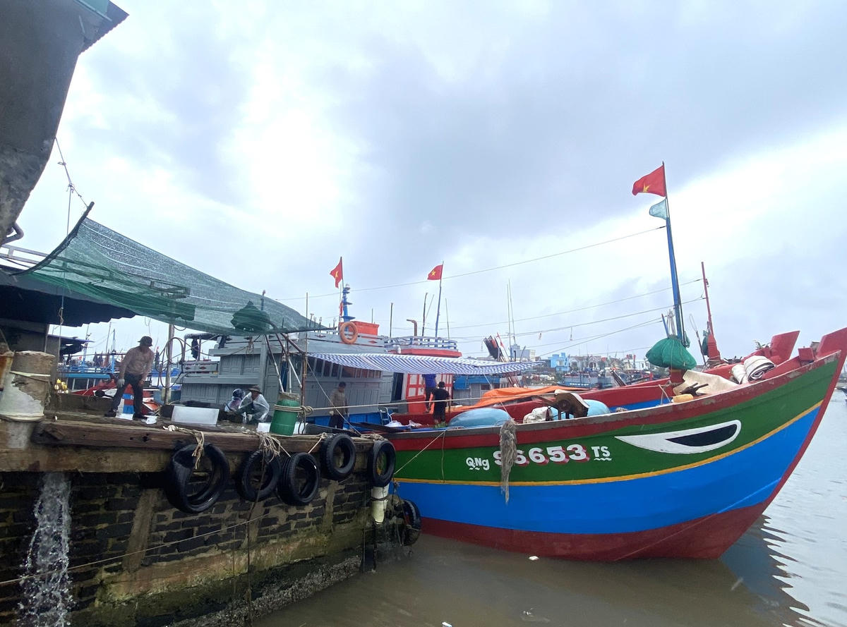Tàu cá cập cảng Sa Kỳ nhập nhiên liêu để vươn khơi xuyên Tết.