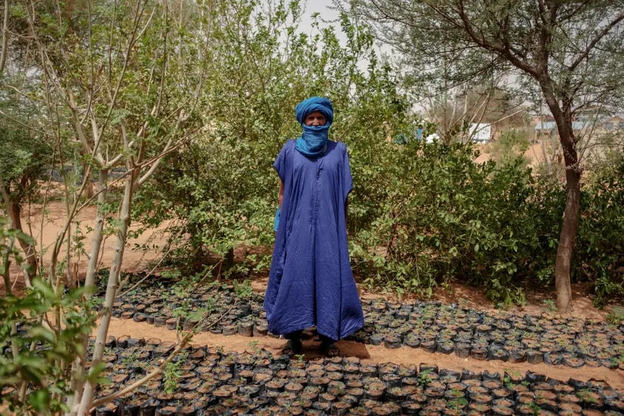 Anh Ahmedou Ould Boukhary, người sáng lập Đội Chống hỏa hoạn, tại một vườn ươm cây trong trại.
