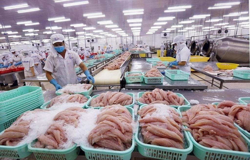 Thủy sản Việt Nam vẫn vững chân tại nhiều thị trường. Nguồn: VASEP.