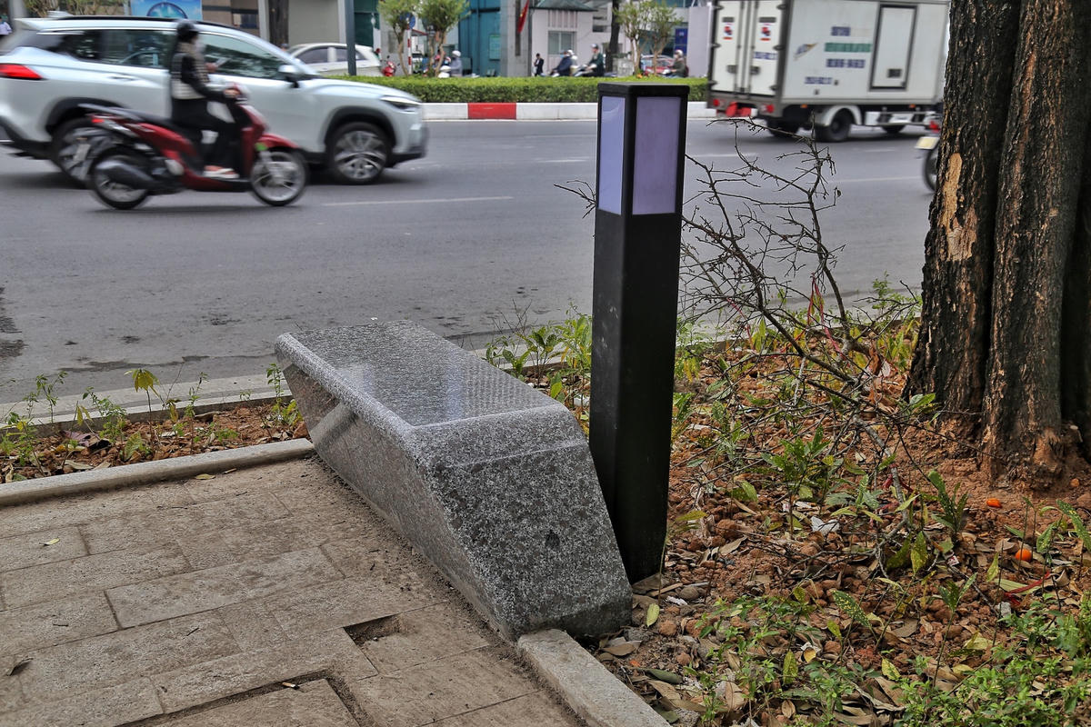 Những chiếc ghế đã được lắp đặt ngay dưới những cây hoa sữa.