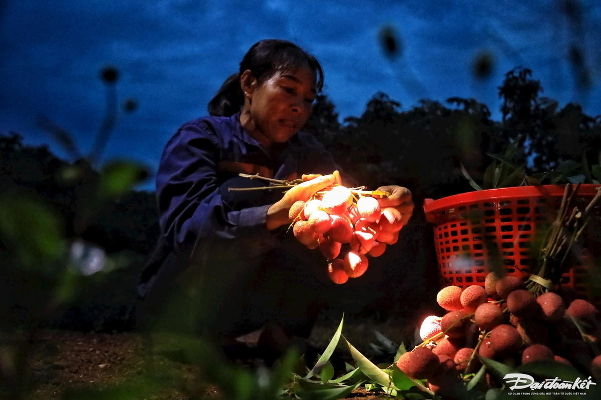 vai_thieu-le-khanh9.jpg