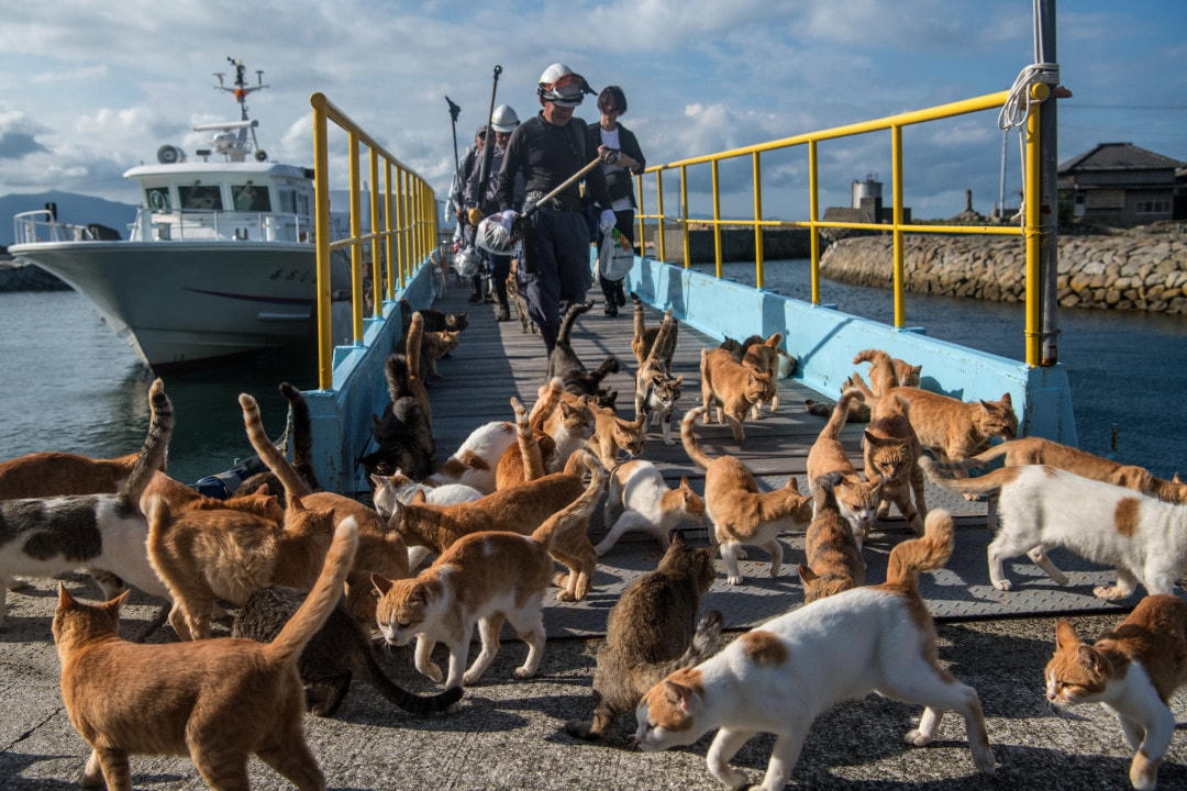 [ẢNH] Những địa điểm trải nghiệm du lịch kỳ lạ nhất thế giới